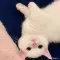 cute_Nora_28