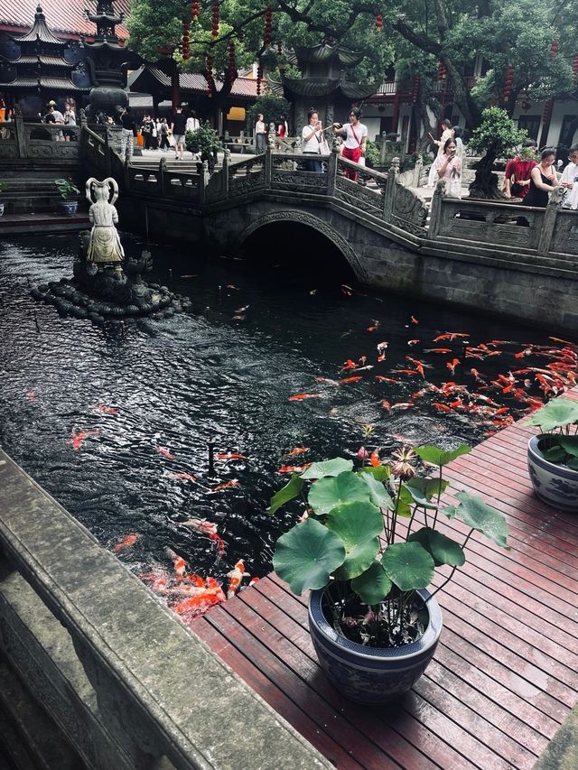 願世界化為滄海，願你我歸於初見