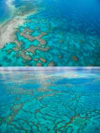 這是我看過最震撼的大堡礁：昆士蘭心形礁