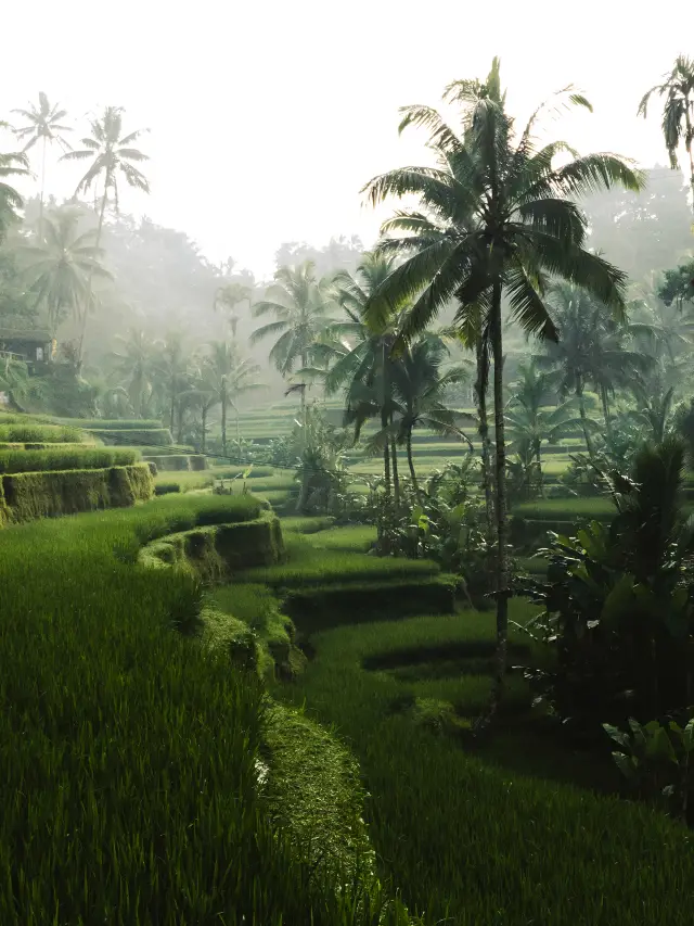 もしインドネシアに来なければ、これが地球の風景だとは知らなかったでしょう