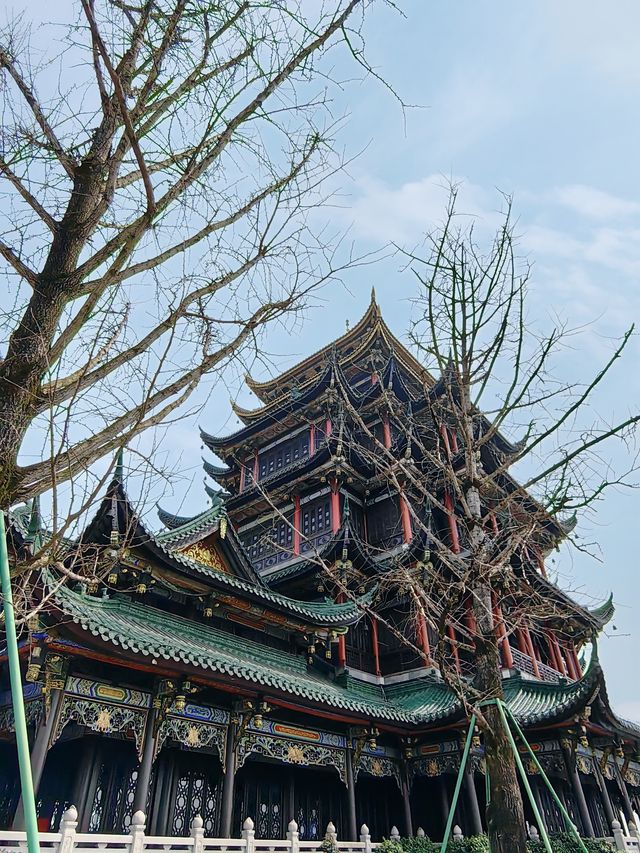 春日賞花記：鴻思寺公園