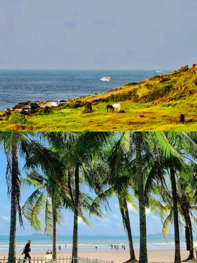 용두암 티켓 할인, 운영 시간, 후기 [2025년] | Trip.com