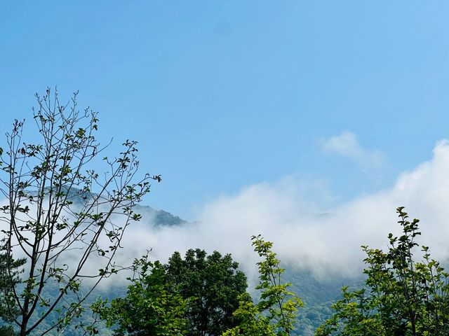 打卡永安龍頭國家濕地公園