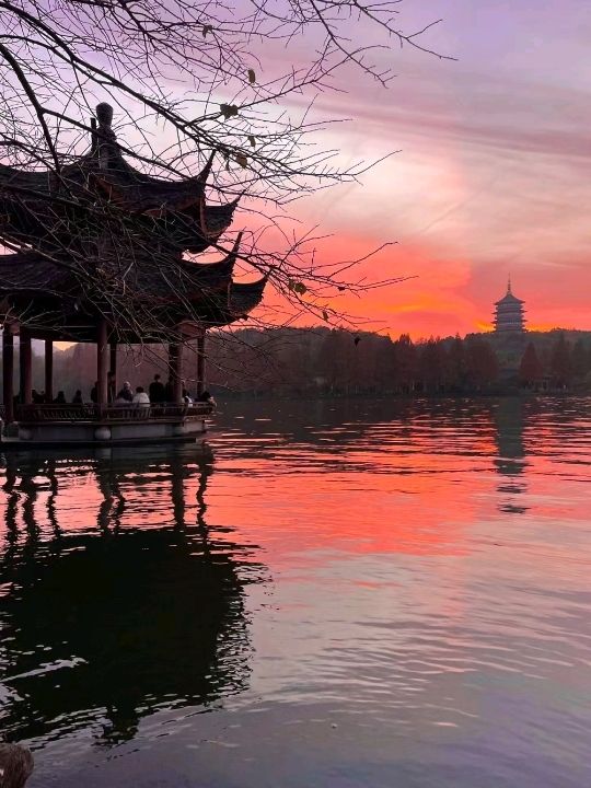 Romance is in the Hangzhou Park ❤️🇨🇳