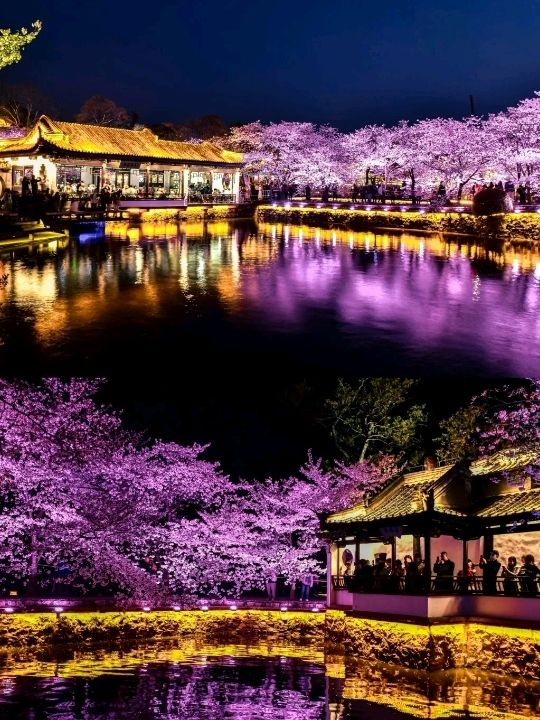 The Taihu Lake Yuantouzhu Scenic Sight🌸🇨🇳