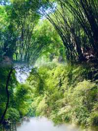 成都周邊一個可以徒步吸氧的竹林景區