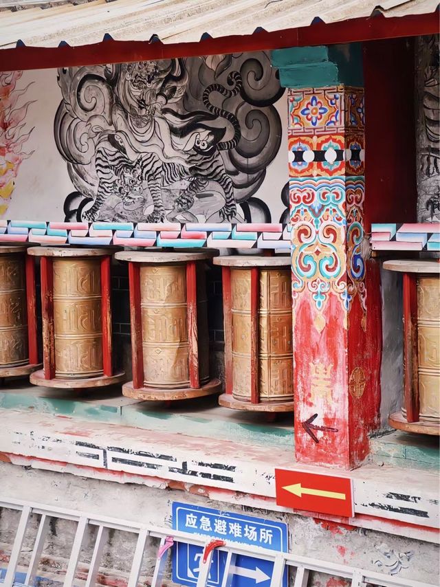 麗江也有「海」是那片候鳥故鄉，拉市海