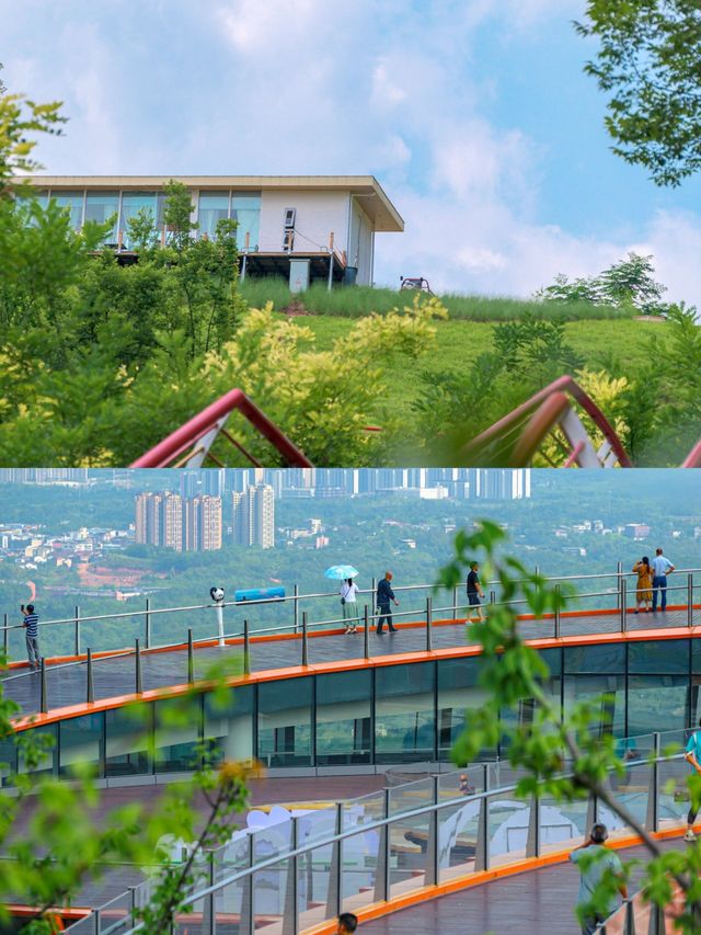 滿山的映山紅，我見到了苗寨另一種精彩～