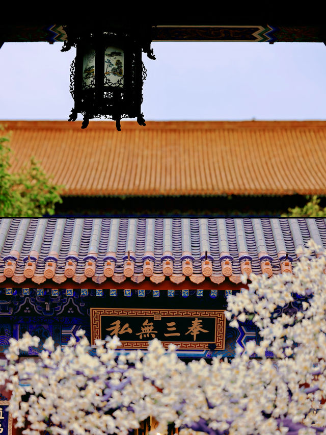 穿越地域與時光，在珠海遇見圓明新園