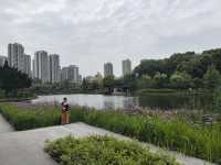 城市公園圖鑑|和平公園