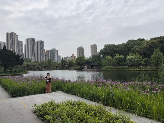 城市公園圖鑑|和平公園