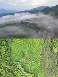 自然田園·上堡梯田