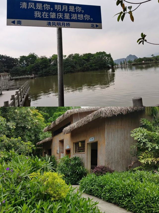 肇慶|濕地公園