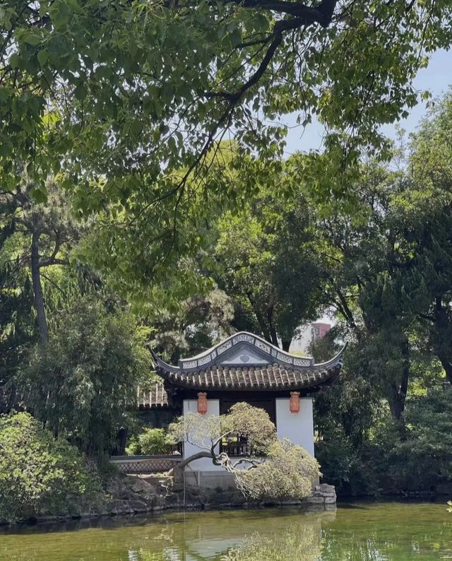 我不允許你還不知道上海的南翔古鎮！
