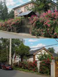 精挑C選| 鞍山兩日遊