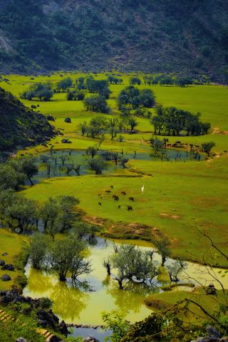 This "Little Xinjiang" in Guangxi is truly a paradise on earth! Such a treasure