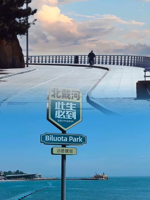北戴河6月赶海寶典，讓你輕鬆成為海洋尋寶者！