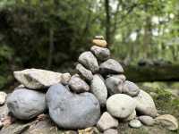 龍苍溝國家級森林公園