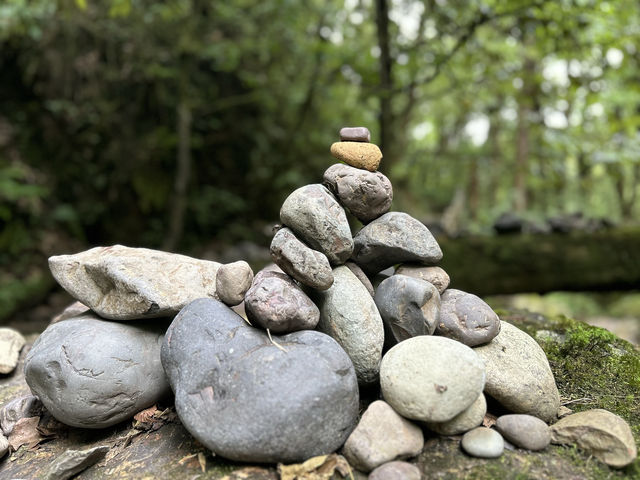龍苍溝國家級森林公園