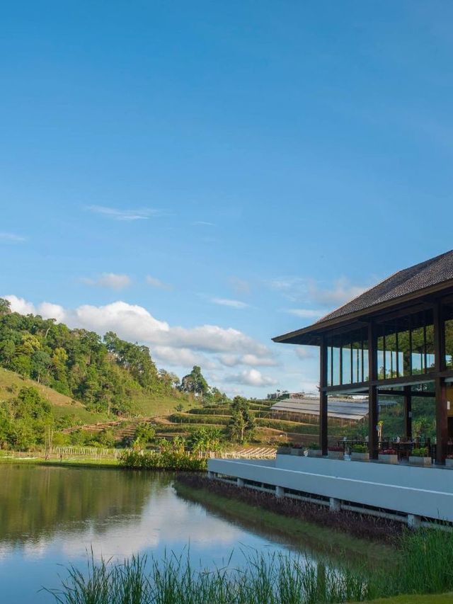 Chiang Mai's Hidden Japanese Retreat 🏯🍁