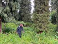 恰西森林公園:秘境中的綠色寶藏。