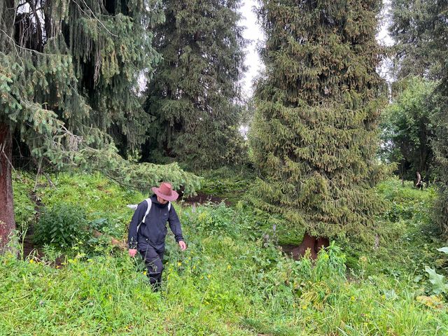 恰西森林公園:秘境中的綠色寶藏。 恰西森林公園:秘境中的綠色寶藏。