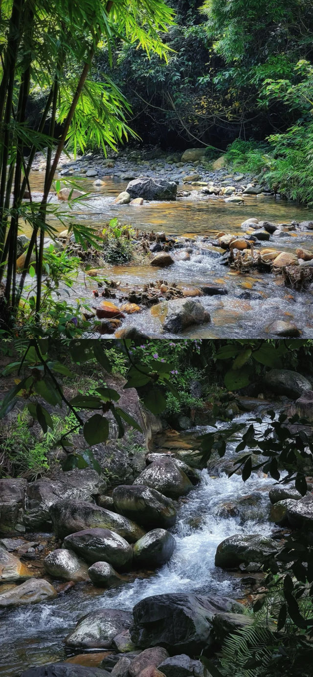 肇慶-紫雲谷
