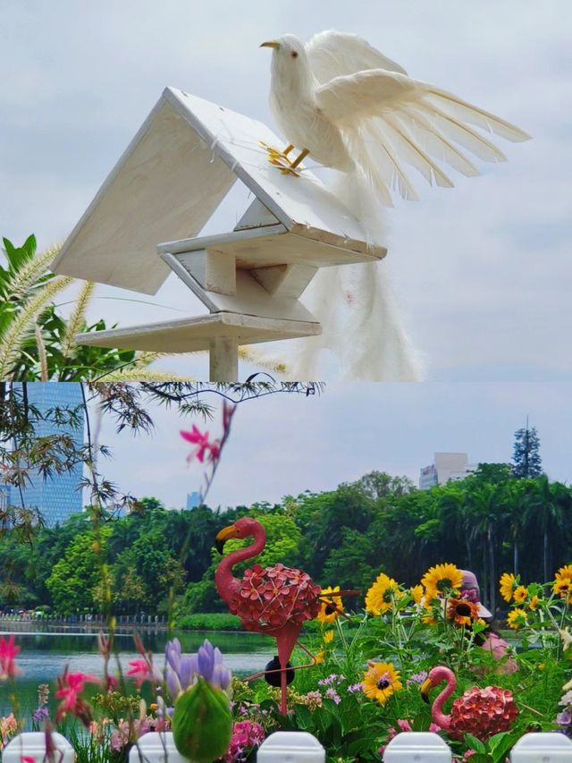 這座綠意盎然的城市，藏著一片城中桃源－南湖公園