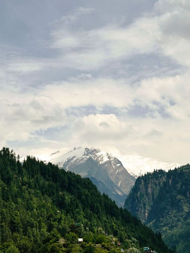 🌄✨ Manali Magic: Top Himalayan Hotel Picks! 🏔️🛌