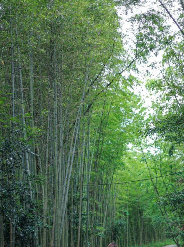 彭州陽平玄觀