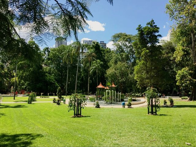 Beautiful City Botanic Gardens Brisbane 🌺🌳