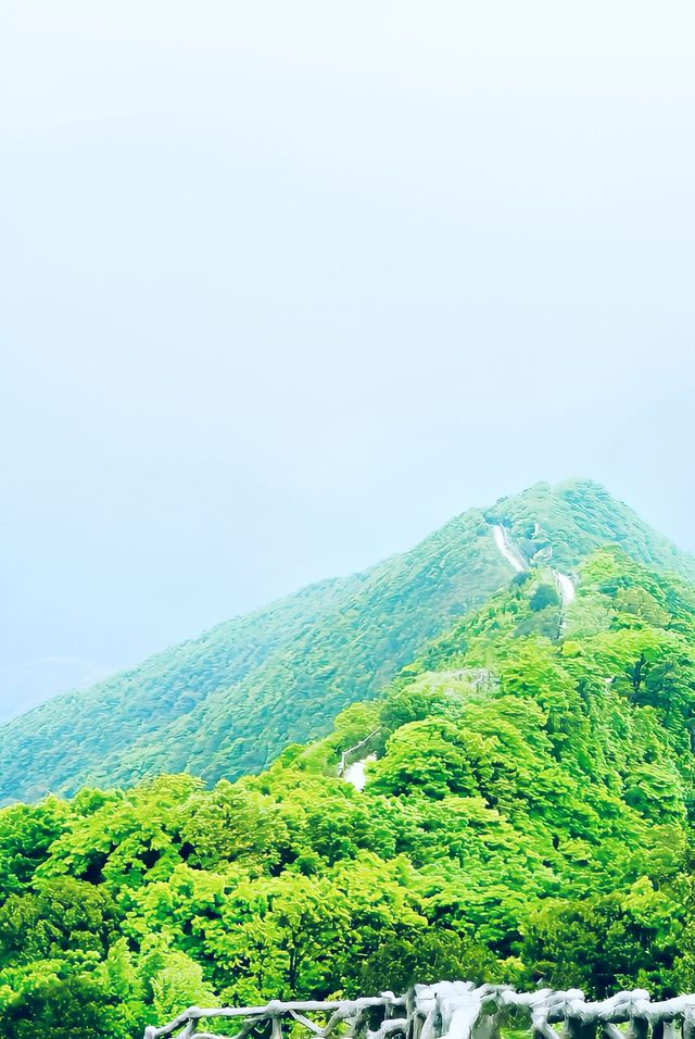 梧桐山登山路線