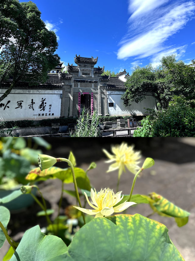 反向玩水小院私湯·璟園蝶來望境溫泉酒店