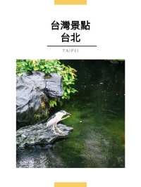 台北景點｜艋舺龍山寺