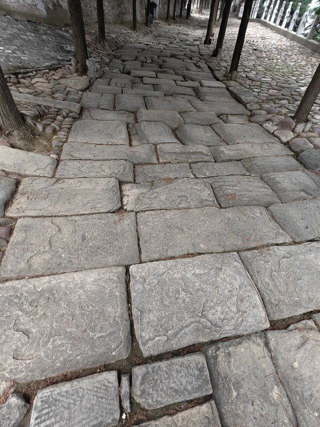 韓城半日遊