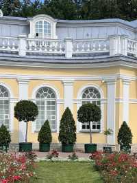 The fountains of His Majesty Peter the Great