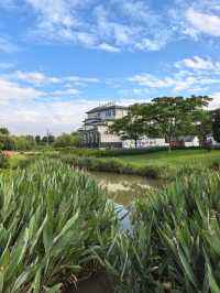 濕地公園內的度假酒店