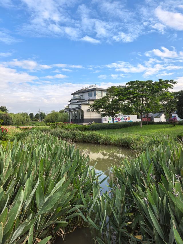 濕地公園內的度假酒店