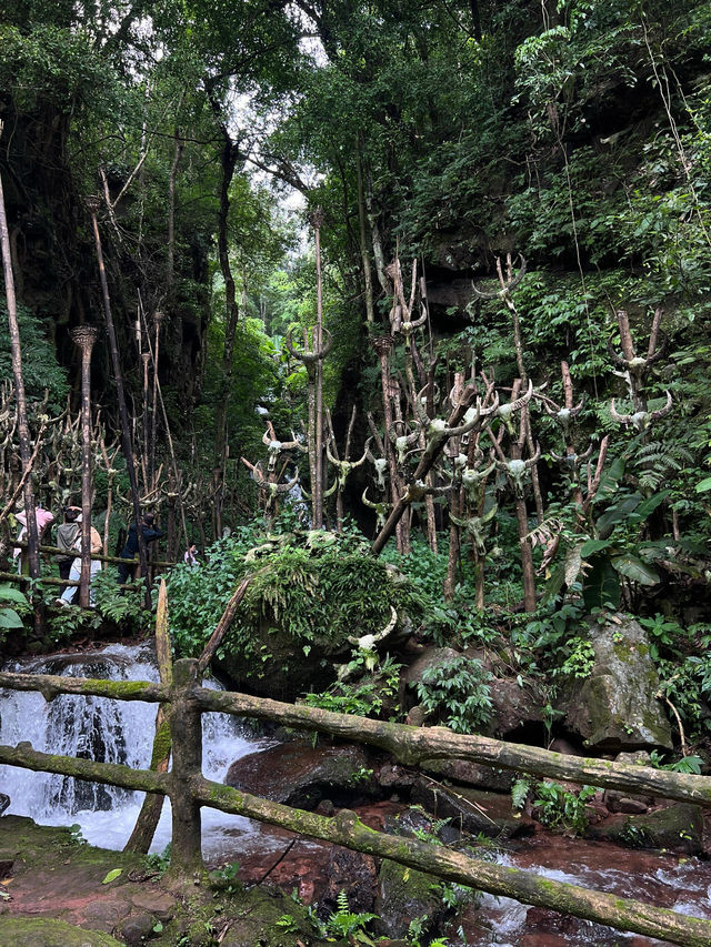 雲南秘境|西盟·龍魔爺聖地