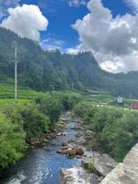在重慶人間仙境滿眼盡是青翠——習水梧桐山山林裡的民宿。