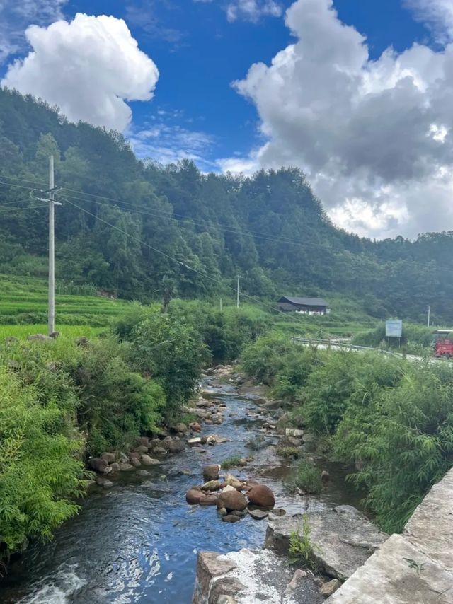 在重慶人間仙境滿眼盡是青翠——習水梧桐山山林裡的民宿。