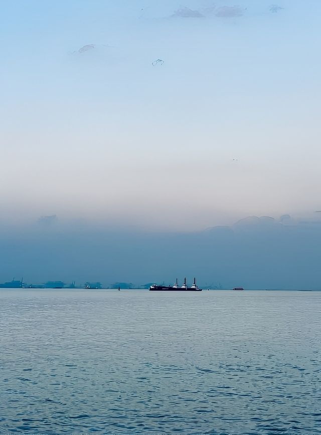 上海自駕｜濱江森林公園氧吧漫步。