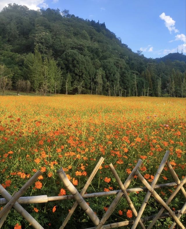 貴陽十里河灘｜美如潑墨