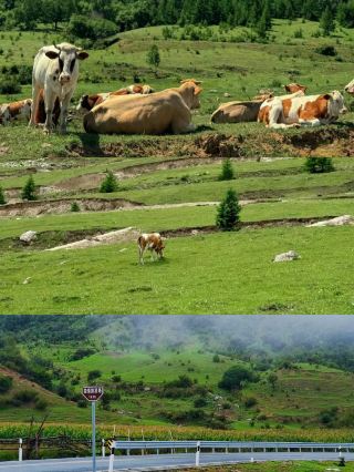 Taiyuan...For a detailed guide to Yunding Mountain, please read this article.