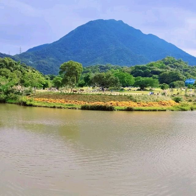 恩上濕地公園郊遊：自然綠洲，感受大自然