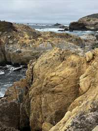 Point Lobos 州保護區。