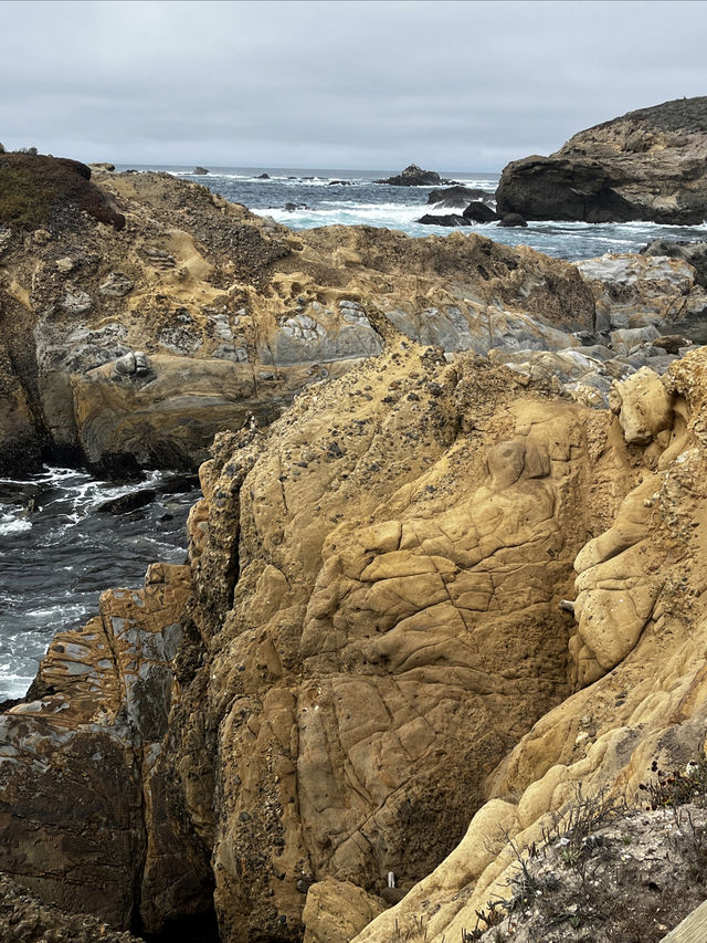 Point Lobos 州保護區。