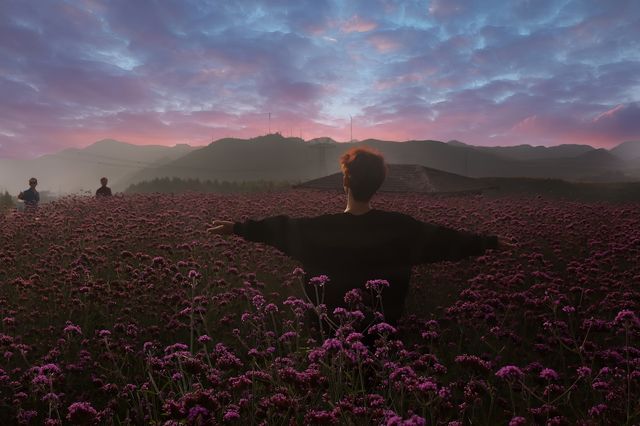 貴陽周邊遊-花溪高坡雲頂花海🪻。