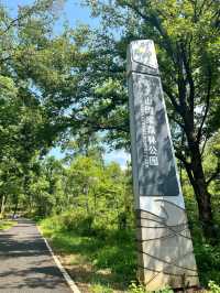 武漢 | 青龍山 | 一起徒步+快樂吸氧。