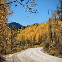Colorado Fall Colors 